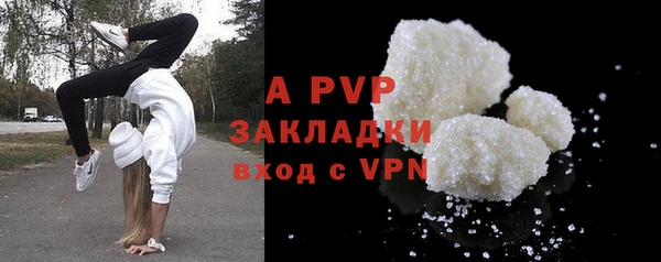 стаф Абинск