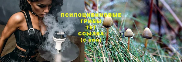 стаф Абинск